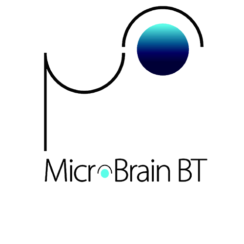 MicroBrain